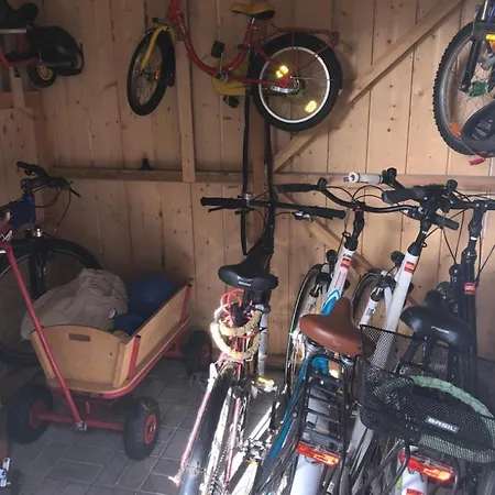 Sonnenschein 1 * Zingst